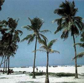 so schn kann ein Strand sein ...